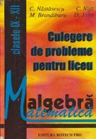 Culegere de probleme pentru liceu (Algebra, clasele IX - XII)