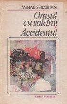Orasul cu salcimi. Accidentul (Editie 1985)