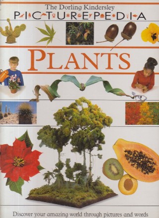 Plants - Picturepedia