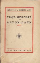 Viata Minunata a lui Anton Pann - Roman